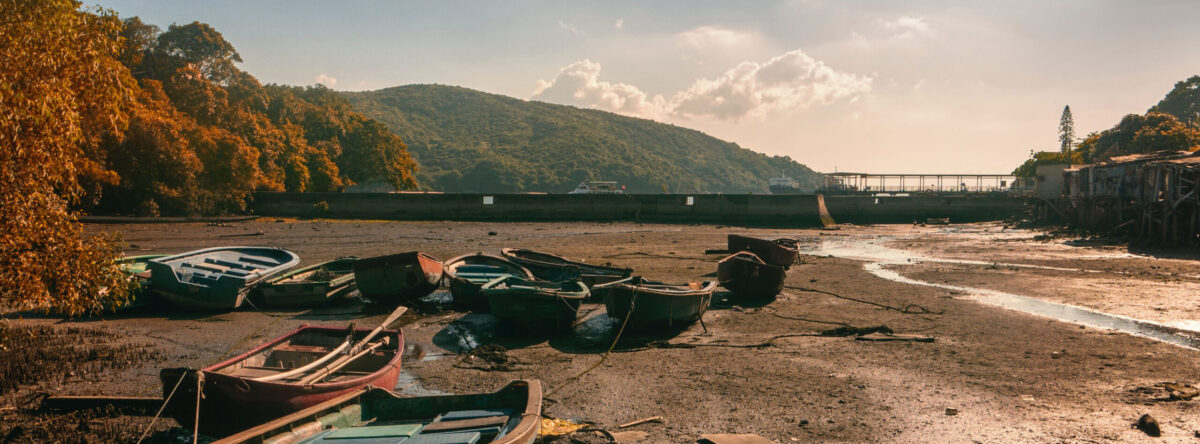 Backup : sauvegarde en ligne